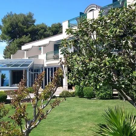 Radin Vodice