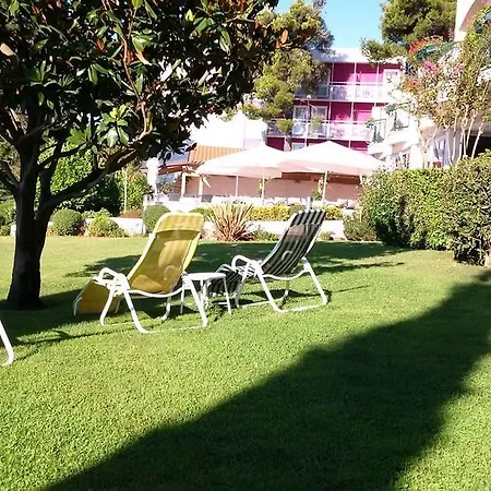 Radin Vodice